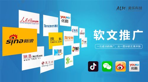 軟文代寫媒體發(fā)布全網營銷軟件開發(fā)ai人工智能