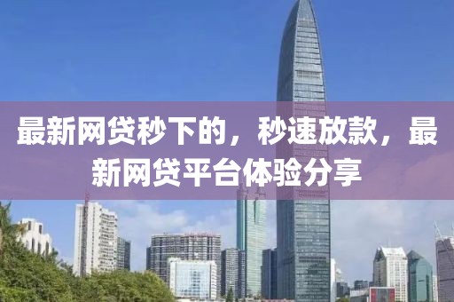 最新網貸秒下的，秒速放款，最新網貸平臺體驗分享