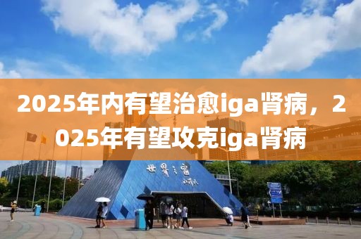 2025年內有望治愈iga腎病，2025年有望攻克iga腎病