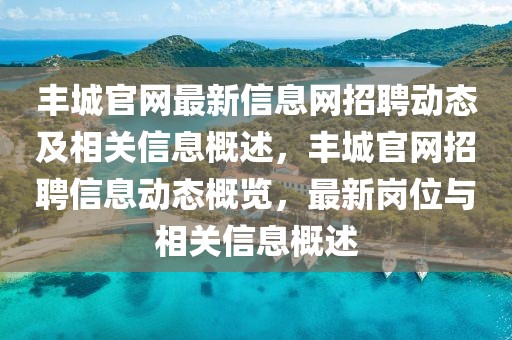 豐城官網最新信息網招聘動態及相關信息概述，豐城官網招聘信息動態概覽，最新崗位與相關信息概述