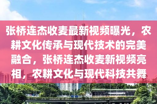 張橋連杰收麥最新視頻曝光，農耕文化傳承與現代技術的完美融合，張橋連杰收麥新視頻亮相，農耕文化與現代科技共舞