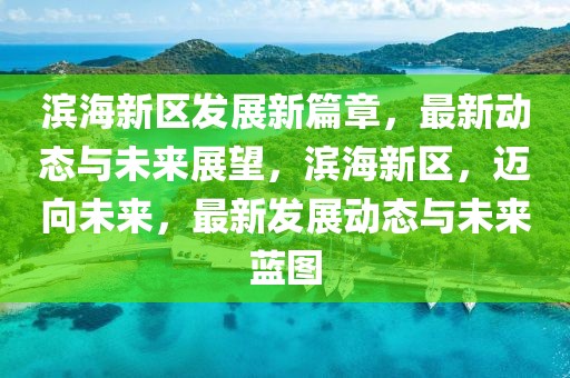 濱海新區發展新篇章，最新動態與未來展望，濱海新區，邁向未來，最新發展動態與未來藍圖