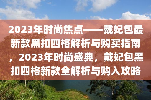 2023年時(shí)尚焦點(diǎn)——戴妃包最新款黑扣四格解析與購(gòu)買指南，2023年時(shí)尚盛典，戴妃包黑扣四格新款全解析與購(gòu)入攻略