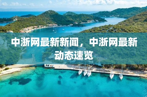 中浙網(wǎng)最新新聞，中浙網(wǎng)最新動(dòng)態(tài)速覽