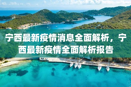 寧西最新疫情消息全面解析，寧西最新疫情全面解析報告