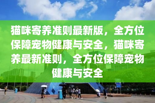 貓咪寄養準則最新版，全方位保障寵物健康與安全，貓咪寄養最新準則，全方位保障寵物健康與安全