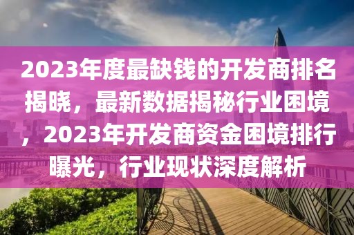 2023年度最缺錢的開發商排名揭曉，最新數據揭秘行業困境，2023年開發商資金困境排行曝光，行業現狀深度解析