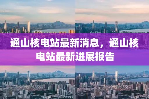 通山核電站最新消息，通山核電站最新進(jìn)展報(bào)告