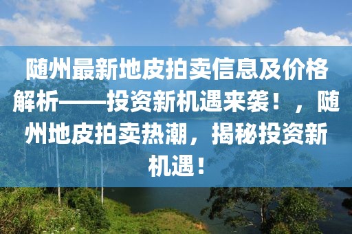 隨州最新地皮拍賣信息及價格解析——投資新機遇來襲！，隨州地皮拍賣熱潮，揭秘投資新機遇！