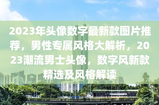 2023年頭像數字最新款圖片推薦，男性專屬風格大解析，2023潮流男士頭像，數字風新款精選及風格解讀