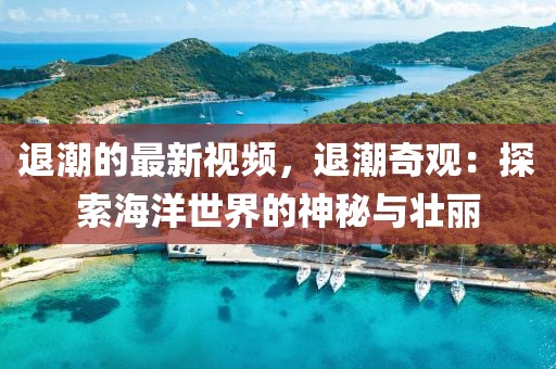 退潮的最新視頻，退潮奇觀：探索海洋世界的神秘與壯麗