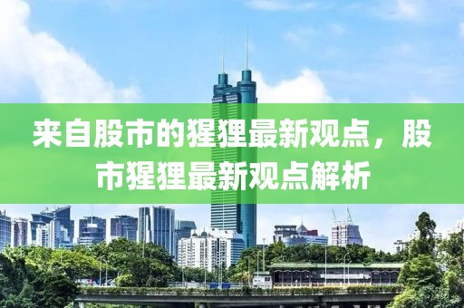 來自股市的猩貍最新觀點，股市猩貍最新觀點解析