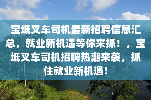 寶坻叉車司機最新招聘信息匯總，就業新機遇等你來抓！，寶坻叉車司機招聘熱潮來襲，抓住就業新機遇！