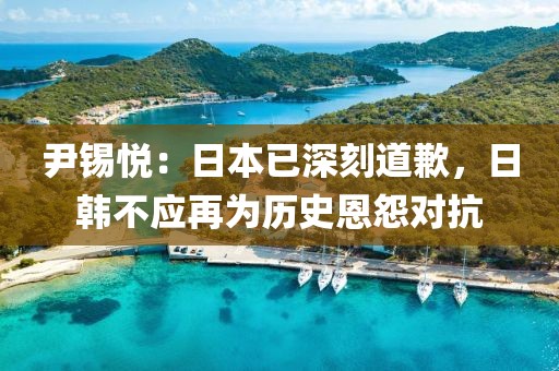 尹錫悅：日本已深刻道歉，日韓不應(yīng)再為歷史恩怨對(duì)抗