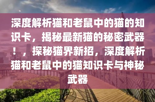 深度解析貓和老鼠中的貓的知識卡，揭秘最新貓的秘密武器！，探秘貓界新招，深度解析貓和老鼠中的貓知識卡與神秘武器