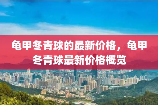 龜甲冬青球的最新價(jià)格，龜甲冬青球最新價(jià)格概覽