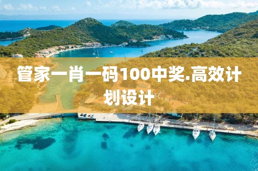 管家一肖一碼100中獎.高效計劃設計