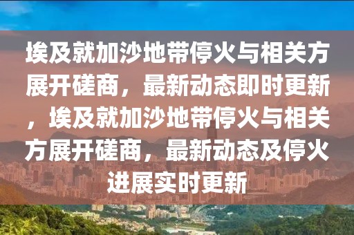 埃及就加沙地帶?；鹋c相關方展開磋商，最新動態即時更新，埃及就加沙地帶?；鹋c相關方展開磋商，最新動態及停火進展實時更新