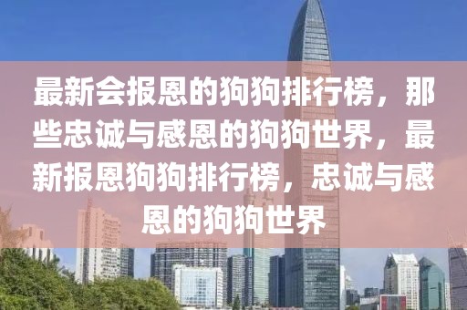 最新會報恩的狗狗排行榜，那些忠誠與感恩的狗狗世界，最新報恩狗狗排行榜，忠誠與感恩的狗狗世界