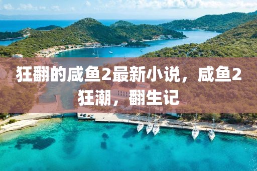 狂翻的咸魚2最新小說，咸魚2狂潮，翻生記