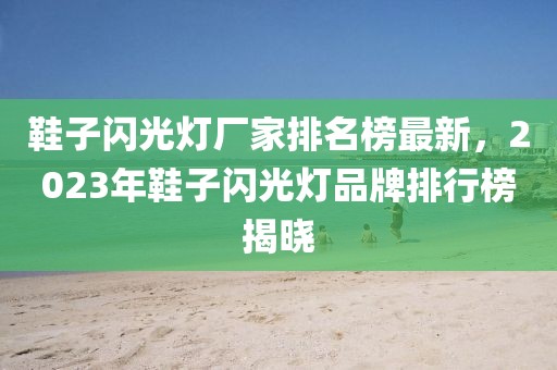 鞋子閃光燈廠(chǎng)家排名榜最新，2023年鞋子閃光燈品牌排行榜揭曉