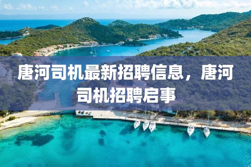唐河司機最新招聘信息，唐河司機招聘啟事