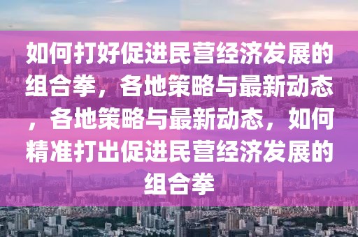 如何打好促進民營經(jīng)濟發(fā)展的組合拳，各地策略與最新動態(tài)，各地策略與最新動態(tài)，如何精準打出促進民營經(jīng)濟發(fā)展的組合拳