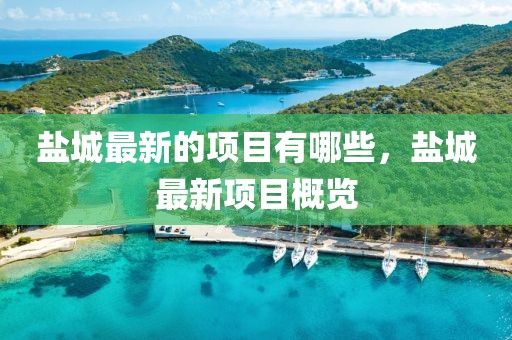 鹽城最新的項目有哪些，鹽城最新項目概覽