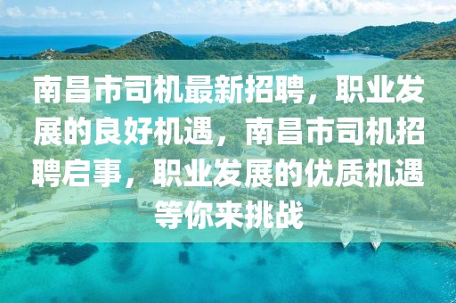 南昌市司機最新招聘，職業發展的良好機遇，南昌市司機招聘啟事，職業發展的優質機遇等你來挑戰