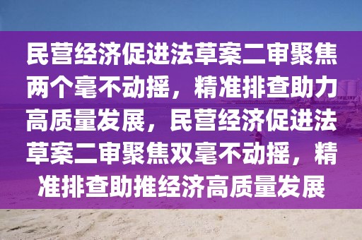 民營經濟促進法草案二審聚焦兩個毫不動搖，精準排查助力高質量發展，民營經濟促進法草案二審聚焦雙毫不動搖，精準排查助推經濟高質量發展