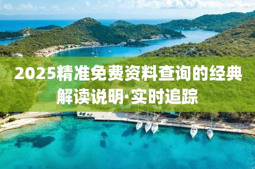 2025精準免費資料查詢的經典解讀說明·實時追蹤