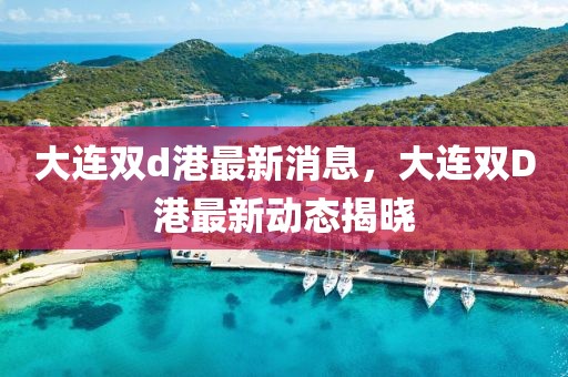 大連雙d港最新消息，大連雙D港最新動態(tài)揭曉