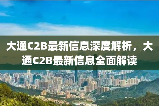 大通C2B最新信息深度解析，大通C2B最新信息全面解讀