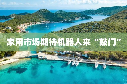 家用市場期待機器人來“敲門”