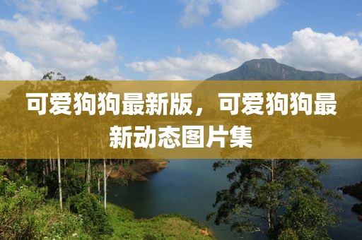 可愛狗狗最新版，可愛狗狗最新動態圖片集