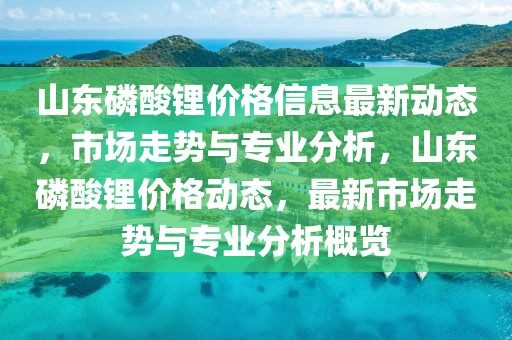 山東磷酸鋰價格信息最新動態，市場走勢與專業分析，山東磷酸鋰價格動態，最新市場走勢與專業分析概覽