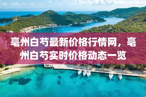 亳州白芍最新價(jià)格行情網(wǎng)，亳州白芍實(shí)時(shí)價(jià)格動(dòng)態(tài)一覽