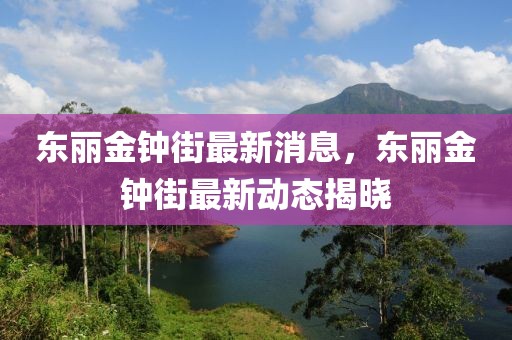 東麗金鐘街最新消息，東麗金鐘街最新動態揭曉