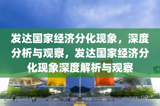 發達國家經濟分化現象，深度分析與觀察，發達國家經濟分化現象深度解析與觀察