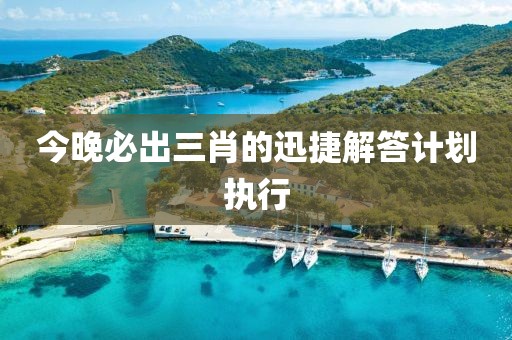 今晚必出三肖的迅捷解答計劃執行