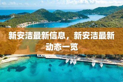 新安潔最新信息，新安潔最新動態一覽