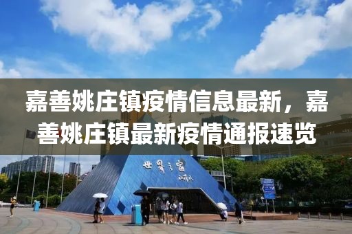 嘉善姚莊鎮疫情信息最新，嘉善姚莊鎮最新疫情通報速覽