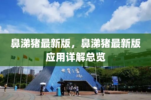 鼻涕豬最新版，鼻涕豬最新版應用詳解總覽