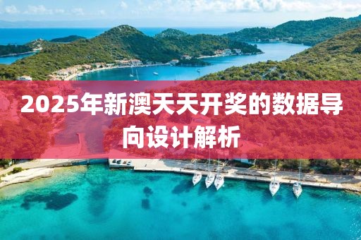 2025年新澳天天開獎的數據導向設計解析