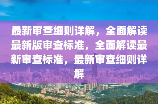最新審查細則詳解，全面解讀最新版審查標準，全面解讀最新審查標準，最新審查細則詳解