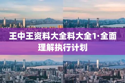 王中王資料大全料大全1·全面理解執行計劃
