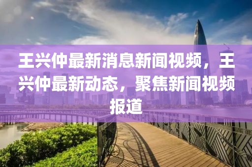 王興仲最新消息新聞視頻，王興仲最新動態，聚焦新聞視頻報道