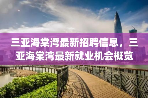 三亞海棠灣最新招聘信息，三亞海棠灣最新就業(yè)機(jī)會(huì)概覽