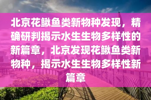 北京花鰍魚類新物種發現，精確研判揭示水生生物多樣性的新篇章，北京發現花鰍魚類新物種，揭示水生生物多樣性新篇章