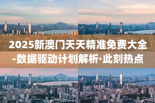 2025新澳門天天精準免費大全-數據驅動計劃解析·此刻熱點